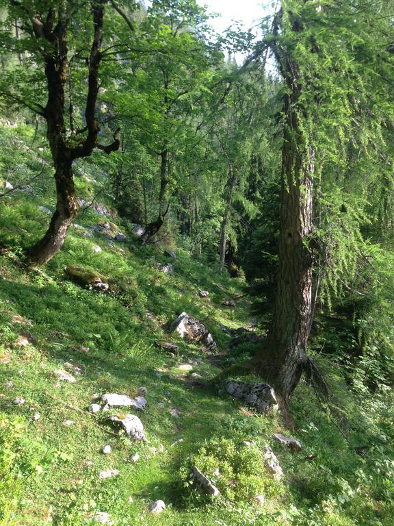 Alte Zimmerei - Lofer Buitenkant foto