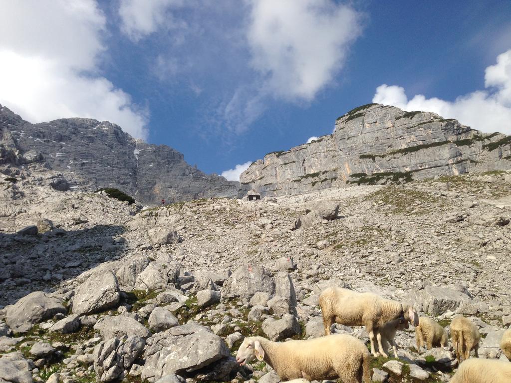 Alte Zimmerei - Lofer Buitenkant foto
